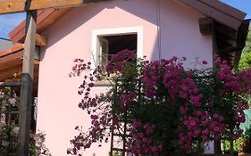 Bice di Casteruggia